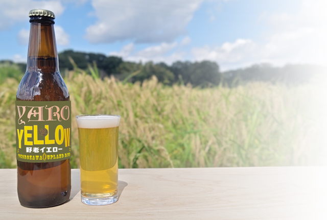 野老イエロー（試作版）